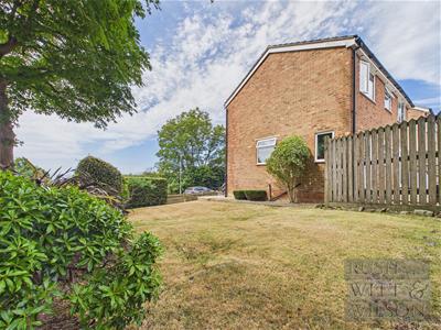Picture 31